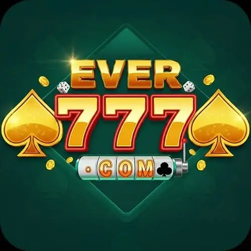 Ever 777 Interface