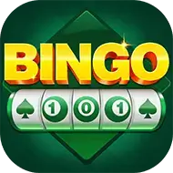 Bingo 101 Interface