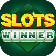 Slots Winner Interface