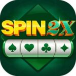 spin-2x